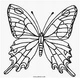 Butterfly Coloring Pages Wings Printable Kids Drawing Template Color Cool2bkids Print Flower sketch template