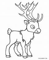 Reindeer Coloring Pages Printable Cool2bkids sketch template