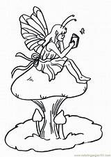 Fairy Coloring Pages Fairies Disney Printable Color Online Cartoons Hadas Para Colorear Dibujos Mushroom sketch template