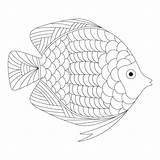 Coloring Pages Fish Doodle Butterfly Printable Adult Getcolorings Pdf Daily Colouring Popular Azcoloring sketch template