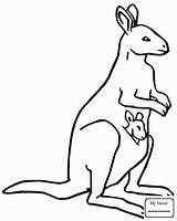 Kangaroo Coloring Pages Baby Pouch Clipart Drawing Kids Printable Color Kangaroos Animals Cliparts Outline Drawings Kangoroo Getdrawings Australian Mother Easy sketch template