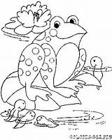 Tadpole Coloring Pages Getcolorings Color sketch template