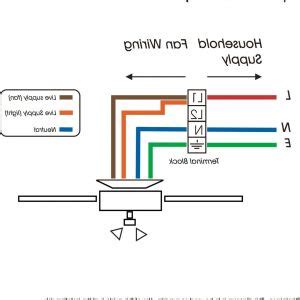 ribus wiring diagram  wiring diagram
