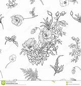 Gele Papaver Patroon Narcis Binnen Viooltje sketch template