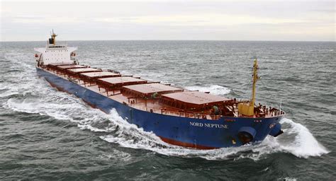 freight chartering operations   types  bulk carriers