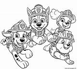 Patrouille Patrol Dino Pat Paw Pups Rubble Patrulha Canina sketch template