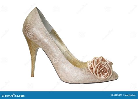 female shoe stock image image  bright style accessory