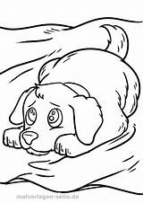 Malvorlage Ausmalbilder Hunde Hunden Schlafender sketch template