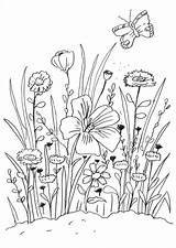 Blumenwiese Ausmalen Ausmalbilder Blumen Malvorlage Kostenlose sketch template