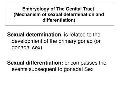 ppt normal and abnormal embryology of the female genital tract