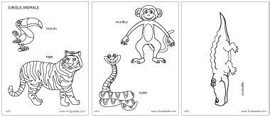 jungle rainforest animals printable templates coloring pages