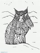 Lynx Coloring Pages Adults Printable Animal Print Getdrawings Colouring Getcolorings sketch template