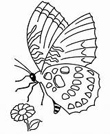 Coloring Pages Butterfly Spring Printable Color Sheets Phonics Kids Flower Objects Scene Print Scenes Simple Printing Popular Fun Activity Library sketch template