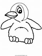 Pinguino Pinguini Pingouin Pinguin Pinguim Colorat Disegni Colorare Planse Mignon Pinguine Uccelli Malvorlage Filhote Kolorowanki Pingwiny Ausmalbild Kostenlos Coloriages Pinguinos sketch template