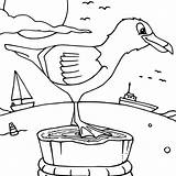 Coloring Seagull Pages Post Animated Birds sketch template