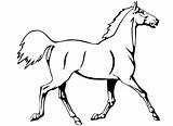 Cavalo Caballos Imprimir Dibujar Colorir Cavalos Vaquejada sketch template