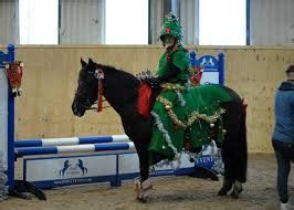 christmas horse fancy dress google search pet costumes horse fancy