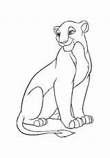 Lioness Coloring Pages Drawing Lion Getdrawings Printable Color Drawings Sheet sketch template
