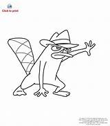 Coloring Pages Platypus Perry Phineas Ferb Drawing Agent Noggin Cool Drawings Oobi Cute Step Skills Disney Draw Kids Printable Book sketch template