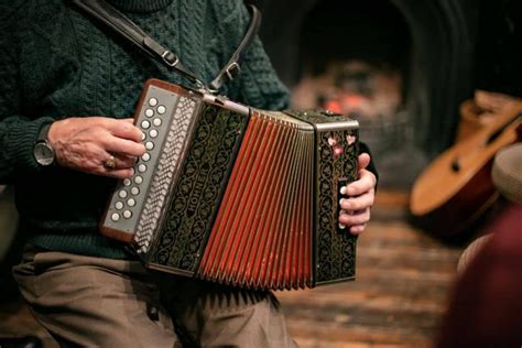 greatest irish button accordion players  mcneela