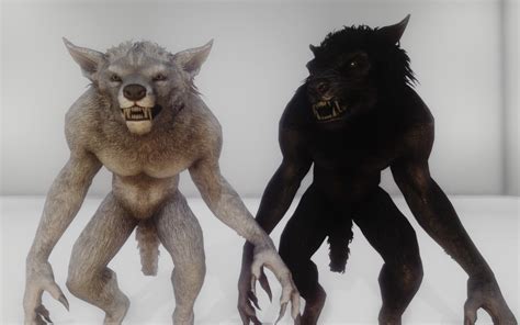 skyrim werewolf werewolf skyrim werewolf character design