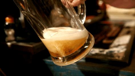 beer gif find share  giphy