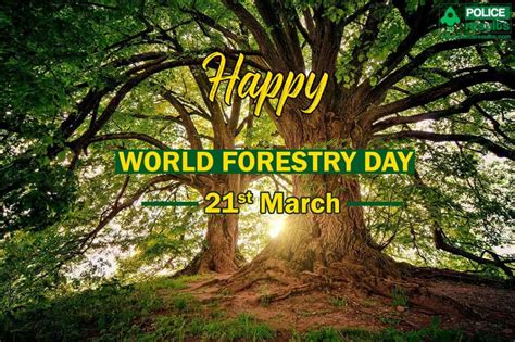 world forest day  st march