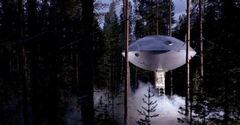ufo hotel room  newest suite   treehotel  shaped   flying saucer inhabitat