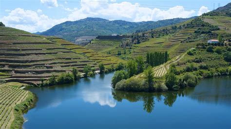 trip guide  douro valley  portugal xcitefunnet