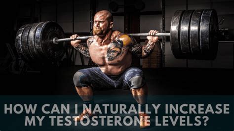 how can i naturally increase my testosterone levels maximum