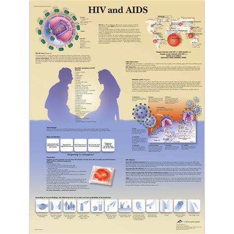 Pôster Hiv E Aids 4006722 3b Scientific Vr1725uu Condom