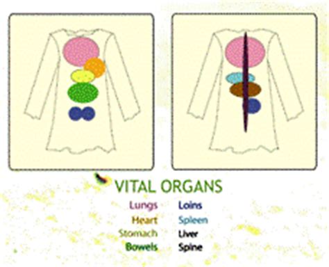 biomimetic fashion vital organs