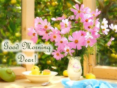 greeting cards   day good morning dear