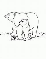 Bear Polar Coloring Pages Clipart Color Baby Winter Bears Animals Kids Drawing Print Printable Cute Simple Mom Clip Preschoolers Cub sketch template