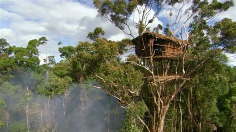 human planet tribes treehouses  real home  bbc bbc news