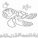 Turtle Squirt Coloring Surfnetkids sketch template