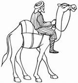 Camel Riding Coloring Pages Camels Horse Printable Drawing Color Sketch sketch template