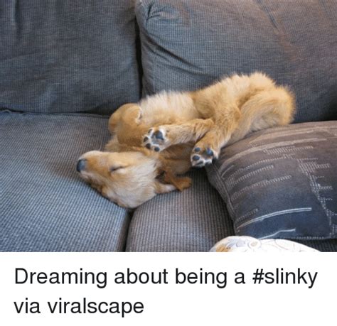 Nmmw Dreaming About Being A Slinky Via Viralscape Meme On Sizzle
