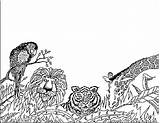 Leeuwen Kleurplaten Tijger Leeuw Dieren Welpjes Mewarnai Singa Animasi Bergerak Moeder Animaatjes Leoni Slaapt Kleuren Kleurplatenwereld Animate sketch template