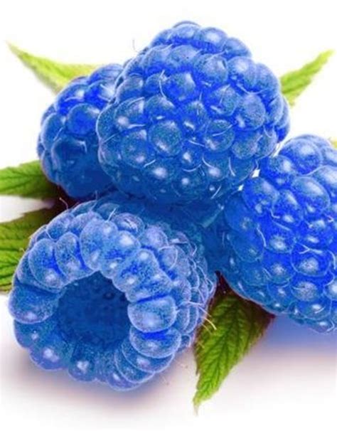blue raspberry vapinusa