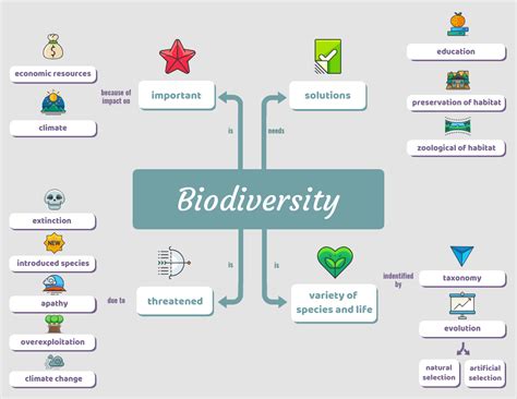 mapa conceptual de biologia de la biodiversidad ligera venngage