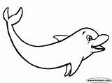 Dolphin Coloring Pages Dolphins Clipart Printable Colouring Cliparts Water Underwater Animals Printables Sea sketch template