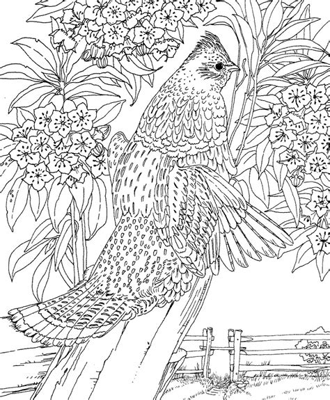 difficult adult coloring pages  print