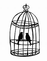 Cage Birdcage Breeding Designlooter sketch template