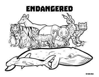 endangered species wildlife coloring page animal learning