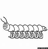 Centipede Coloring Pages Animals Insect Millipede Enjoy Online Summer Caterpillar Cute 67kb 565px Kids Legs Lot sketch template
