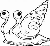 Escargot Snail Coloringall Coquille sketch template
