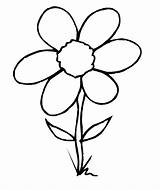 Blumen Malvorlage Ausmalen Malvorlagen sketch template