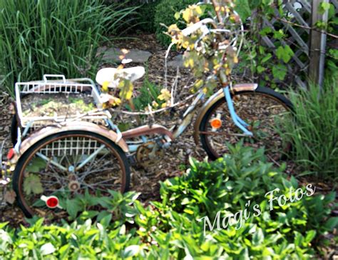 bike   garden garden picture outdoor