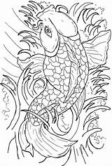 Coloring Fish Japanese Pages Koi Coy Beautiful Outline Drawing Getdrawings Getcolorings Colorings Printable sketch template